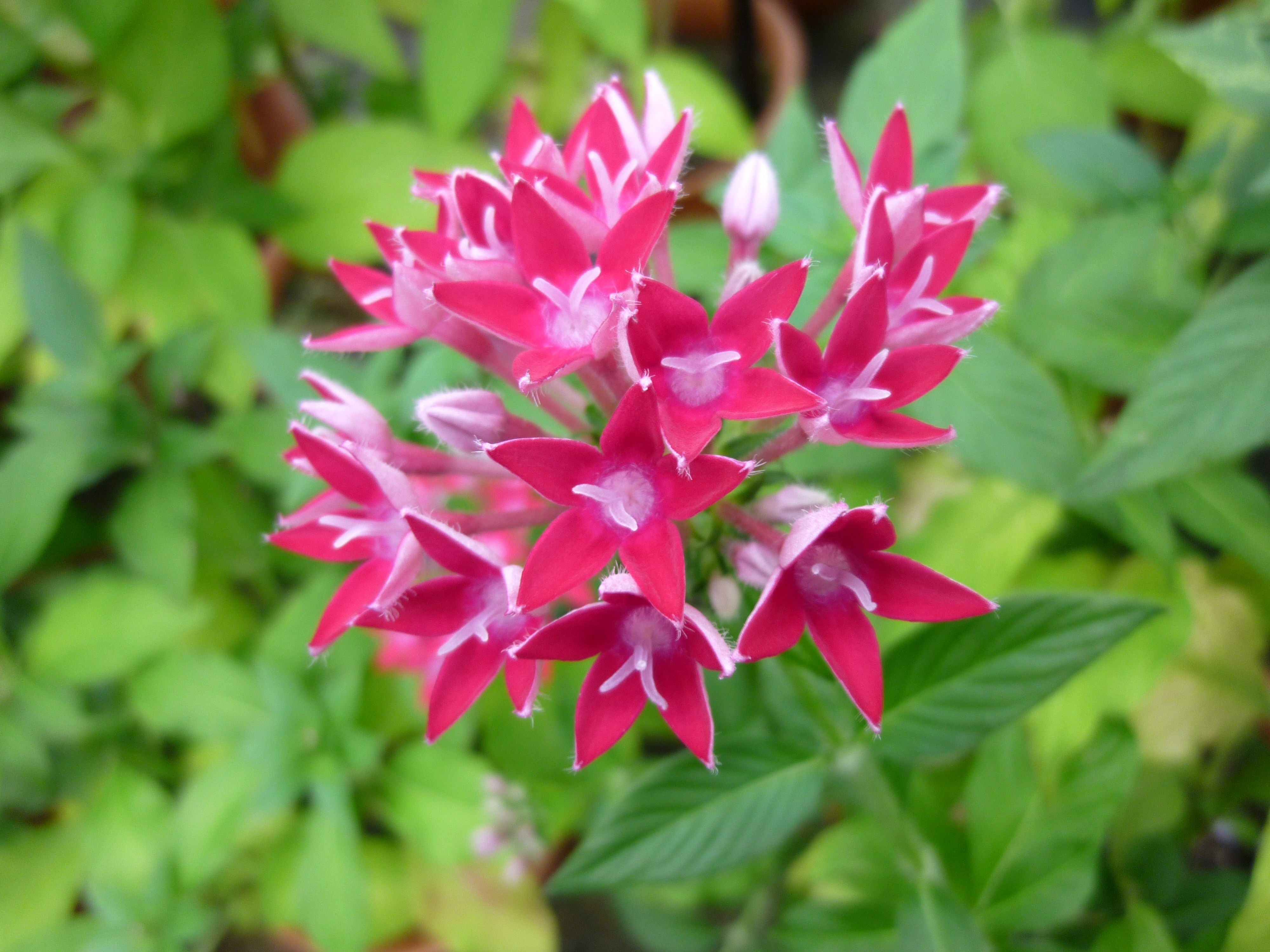 DMC-ZX1 / ��5.5MB / 4,000�~3,000 / 1/5�b / F3.3 / 0EV / ISO100 / WB:�I�[�g / 4.5mm