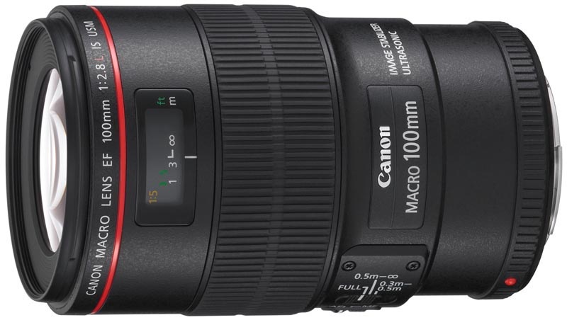 EF 100mm F2.8 L Macro IS USM