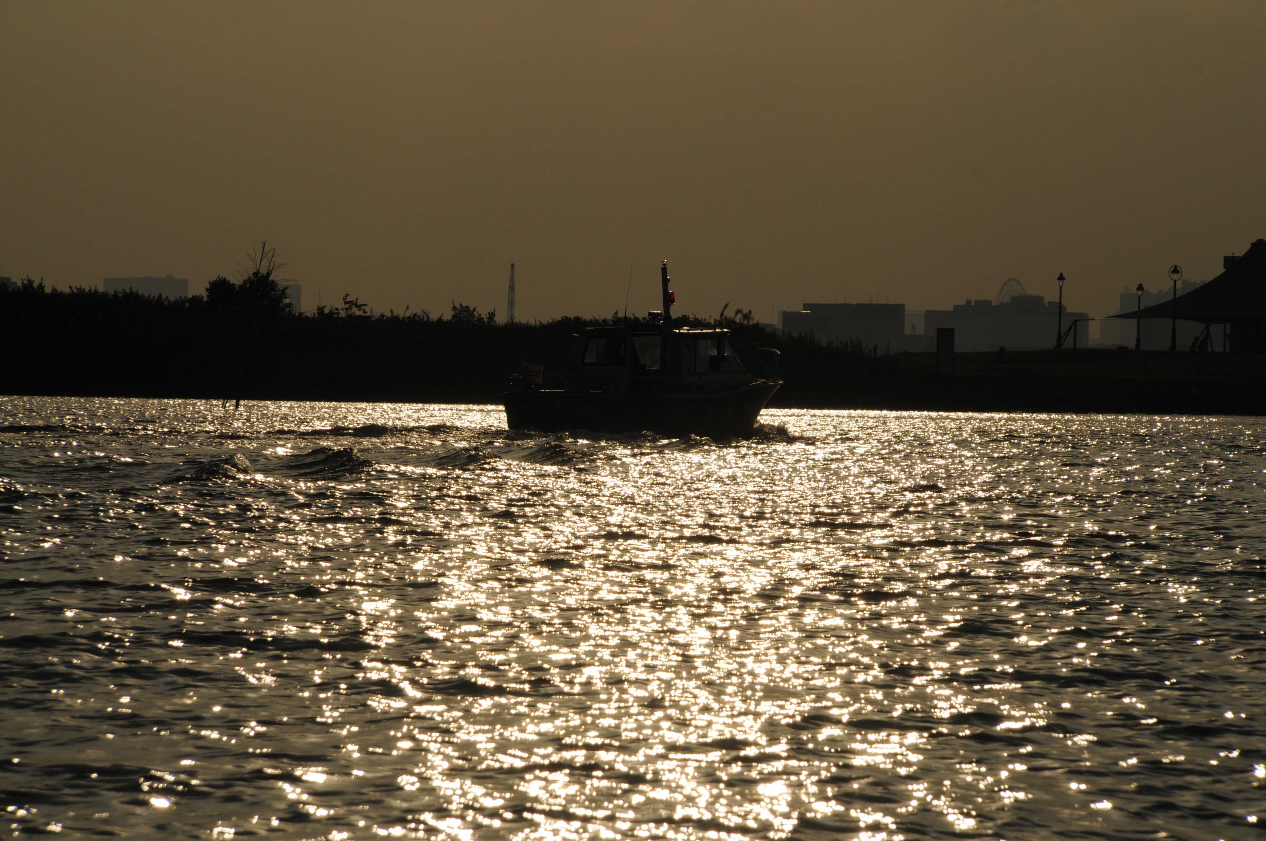 D300 / AT-X 16.5-135 DX / 4,288�~2,848 / 1/4,000�b / F11 / -2.0EV / ISO200 / WB�F���V / 135mm�i203mm�����j