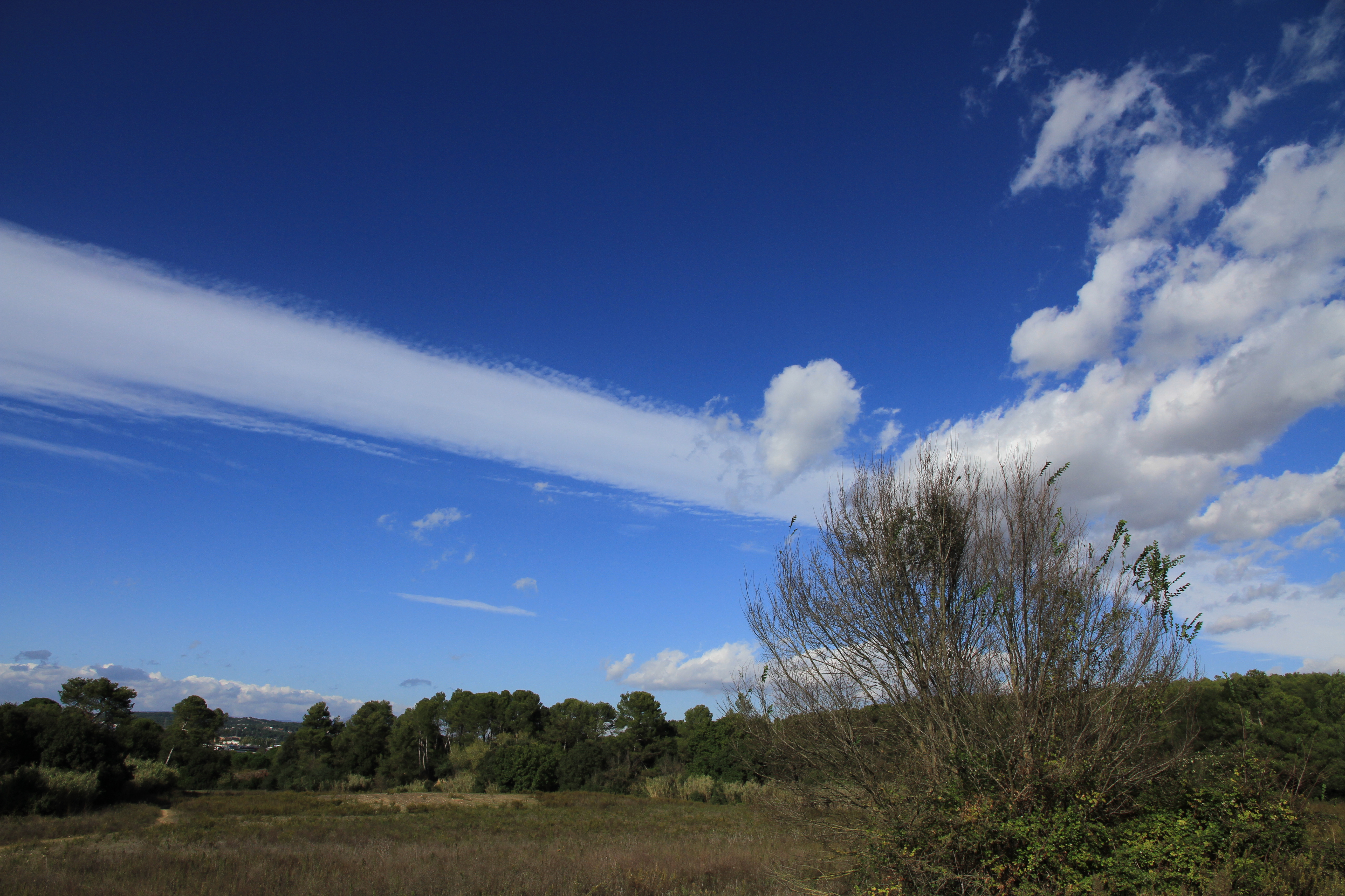 EOS 7D / EF-S 15-85mm F3.5-5.6 IS USM / 5,184�~3,456 / 1/800�b / F8 / -0.7EV / ISO100 / �i��D��AE / WB:�I�[�g / 15mm / �s�N�`���[�X�^�C���F���i / �I�[�g���C�e�B���O�I�v�e�B�}�C�U�F���� / ���P�x���E�K���D��F���Ȃ�
