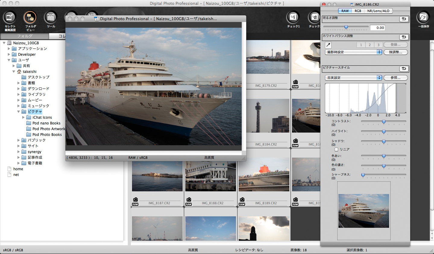 Digital Photo Professional�iDPP�j