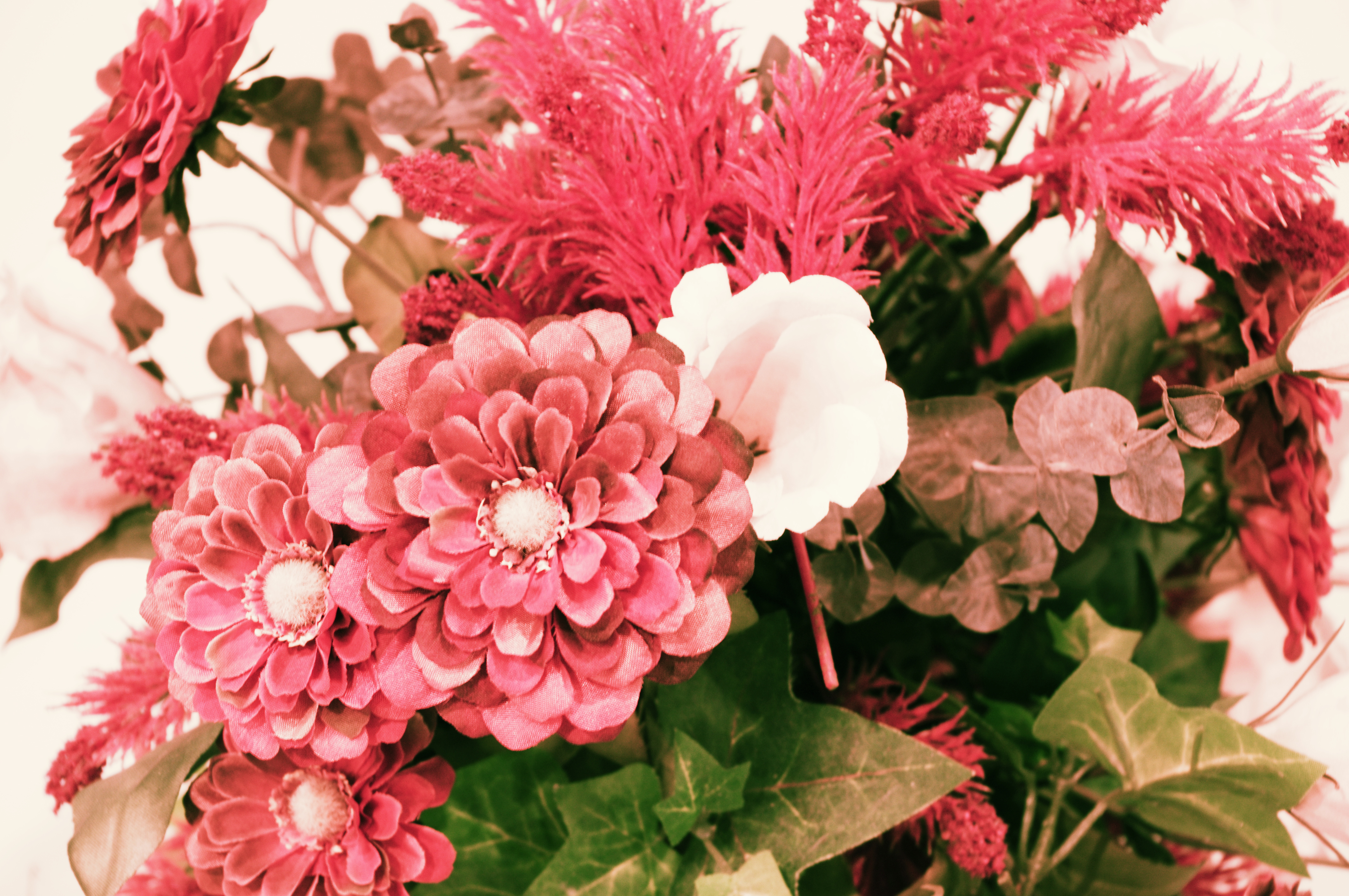 �N���X�v���Z�XON�i�V���b�t���j�o�[�W����1.00