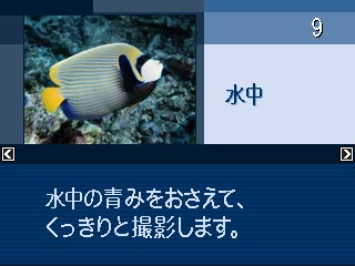 �A�E�g�h�A�@�炵���A�x�X�g�V���b�g�ɂ́u�����v��u�r�[�`�v��