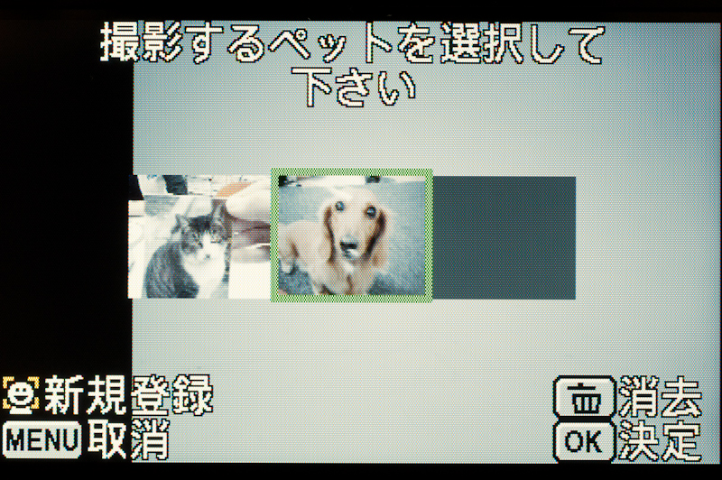 �y�b�g�B�e���[�h�ł́A�o�^�����y�b�g�̊�����o�ł���悤�ɂȂ���