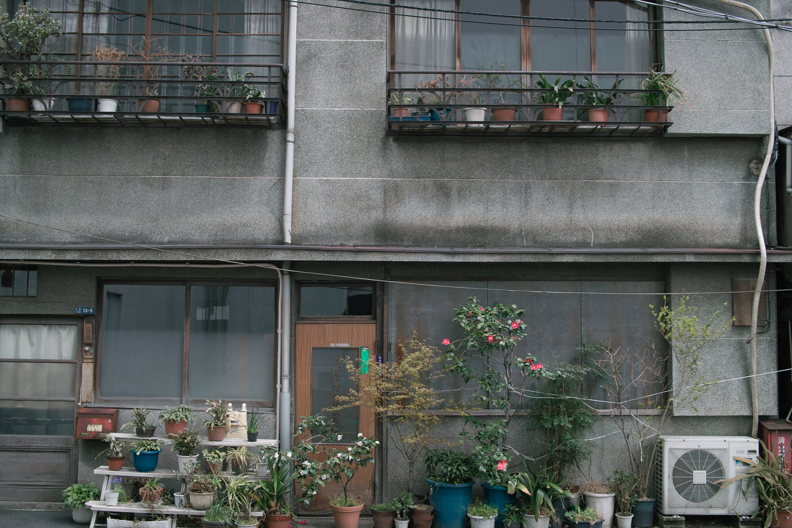DP2s / ��1.8MB / 2,640�~1,760 / 1/60�b / F3.2 / -0.7EV / ISO100 / WB:�I�[�g