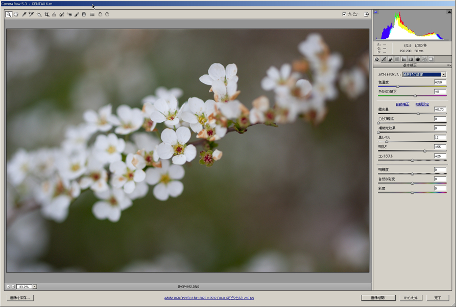 Camera Raw