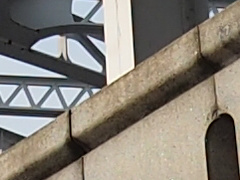 009_s.jpg