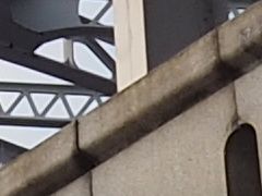 013_s.jpg