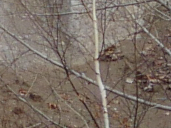 010_s.jpg