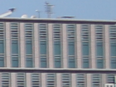 019_s.jpg