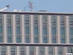 020_s.jpg