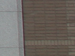 025_s.jpg