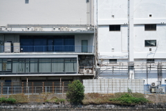 019_s.jpg