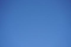 054_s.jpg