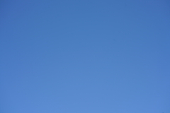 055_s.jpg