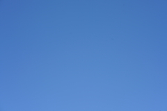 056_s.jpg