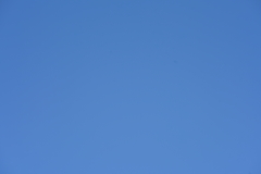 059_s.jpg