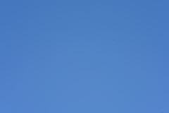 060_s.jpg