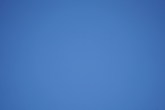 061_s.jpg