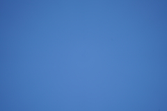 064_s.jpg