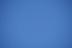 065_s.jpg