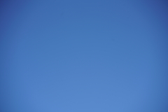 068_s.jpg