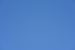 073_s.jpg