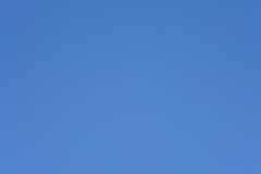 074_s.jpg