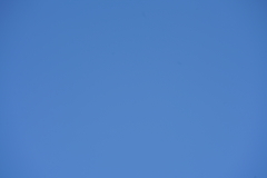 076_s.jpg