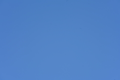 077_s.jpg