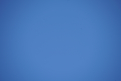 079_s.jpg