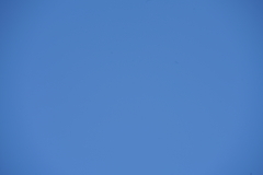 080_s.jpg