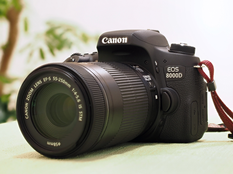 ミニレポート：フリッカーレス撮影が役立つ場面とは？ （EOS 8000D