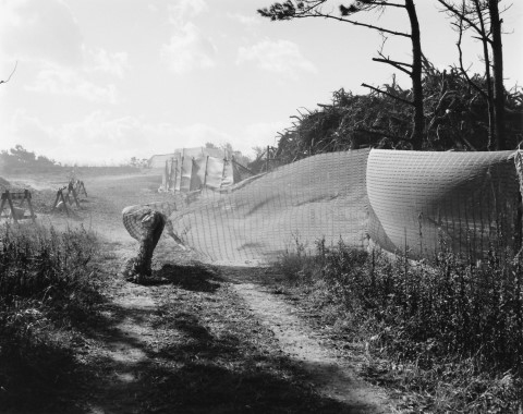 有野永霧写真展「日本人景 ビニール」 - デジカメ Watch