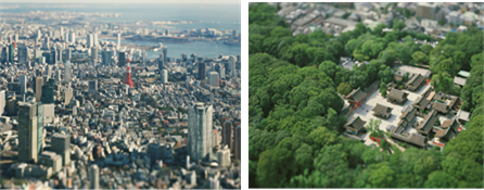 本城直季写真展「TOKYO/KYOTO 1/2」 - デジカメ Watch 本城直季