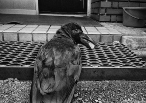 第36回土門拳賞受賞作品展 梁丞佑写真展：新宿迷子 - デジカメ Watch