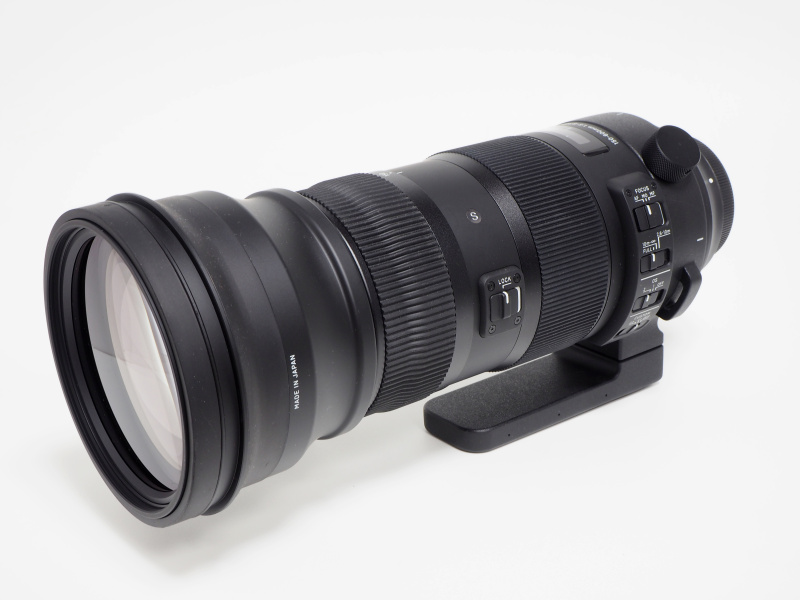 交換レンズレビュー：SIGMA 150-600mm F5-6.3 DG OS HSM | Sports 