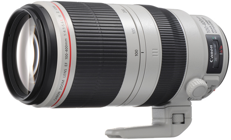 Canon EF100-400mm F4.5-5.6L IS Ⅱ USM多少のスレやキズがあります