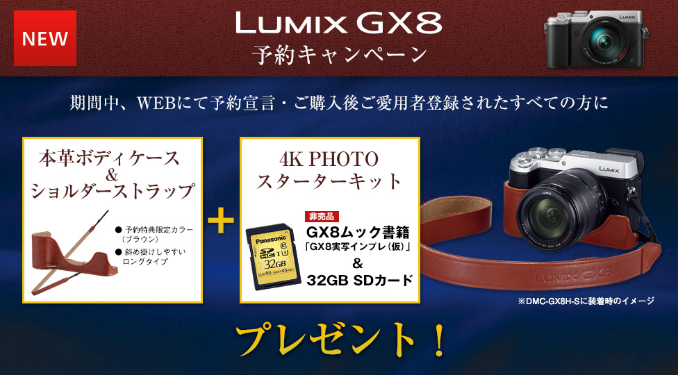 LUMIX DMC-GX8 ボディ 本革ケース付き
