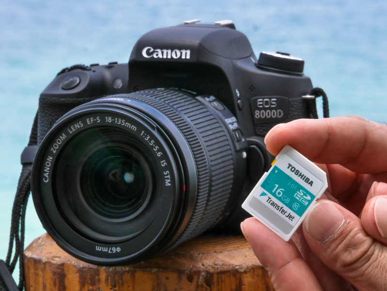 特別企画：「夏旅写真」を効率良くバックアップ&シェアするには