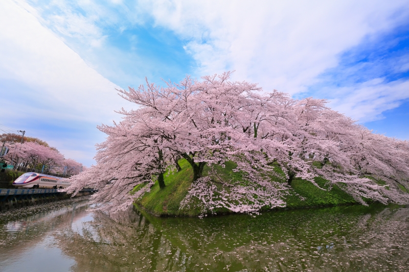 日本全国・桜の名所の撮影情報が満載 デジタルカメラマガジン4月号