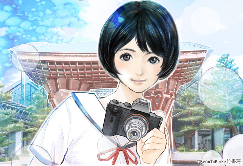 東京シャッターガール　レンタル　DVD Amazon.co.jp: 東京シャッターガール [DVD] : 夏目あおい, 田中美麗