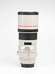 キヤノン Canon EF 300mm F4 L USM レンズ A776