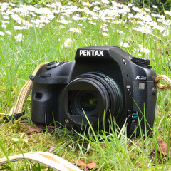 ペンタックスK20D【第5回】可能性を感じるライブビューと高速連写