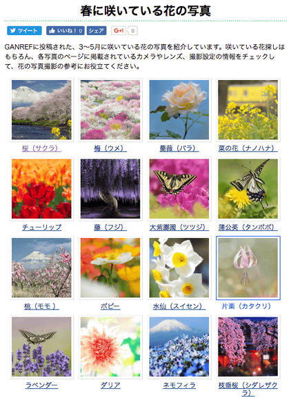 花の一覧 - List of garden plants - JapaneseClass.jp