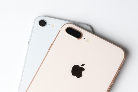 特別企画 カメラファンのための Iphone 8 Plus 撮って出しレビュー デジカメ Watch