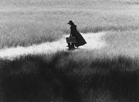 藤井秀樹写真展:甦る華麗なる刻 「PAST 風声」 (c)Hideki Fujii