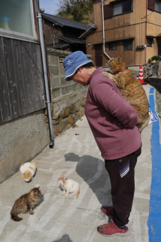 カメラ旅女の全国ネコ島めぐり なかなか行けない猫の楽園で 猫と人の愛おしい関係に出会う 青島 後半 デジカメ Watch