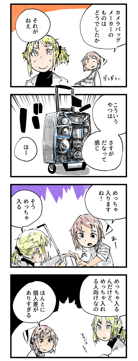 新しいカメラは新しいカメラバッグに盛れ(その3)