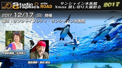 イベント告知 サンシャイン水族館 17 Xmas 貸し切り大撮影会 デジカメ Watch